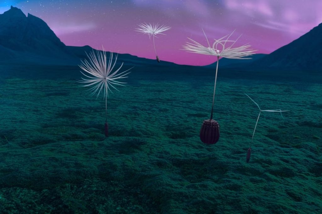 25e5d48_upload-1-gztn4s6oaaal-planetes05